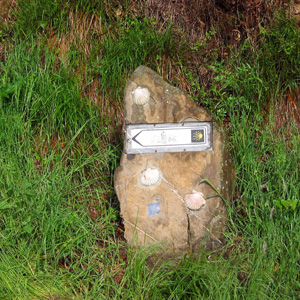 Image 5::This is the description of the image.